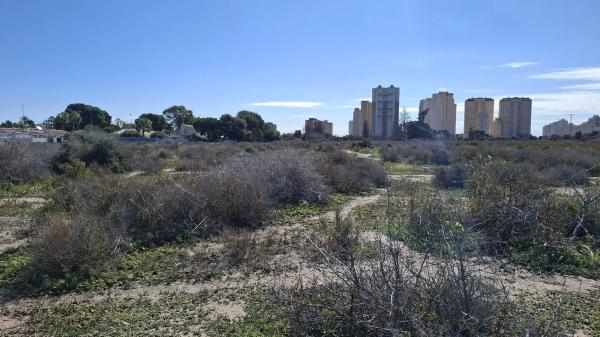 Terreno en San Joan d´alacant