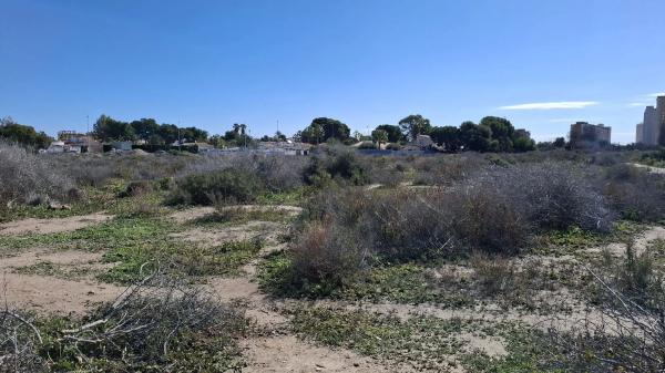 Terreno en San Joan d´alacant