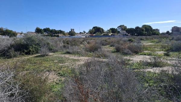 Terreno en San Joan d´alacant