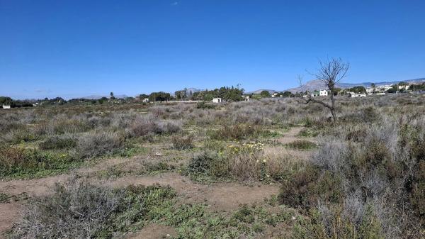 Terreno en San Joan d´alacant