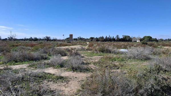 Terreno en San Joan d´alacant