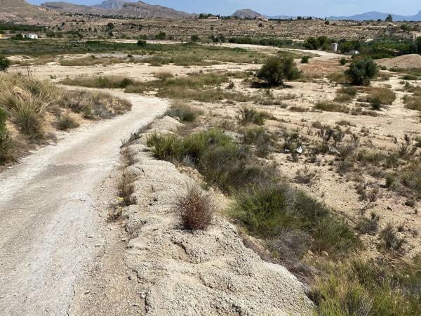 Terreno en camino Del Soldat