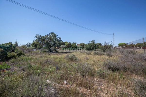 Terreno en camino Juncaret