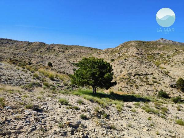 Terreno en tossal redó, 12