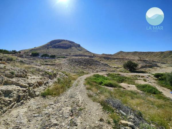 Terreno en tossal redó, 12