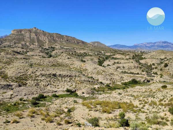 Terreno en tossal redó, 12