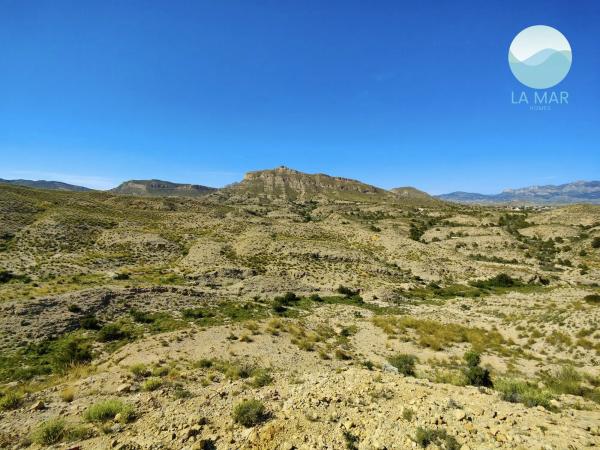 Terreno en tossal redó, 12