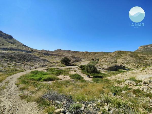 Terreno en tossal redó, 12