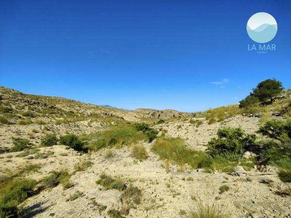 Terreno en tossal redó, 12