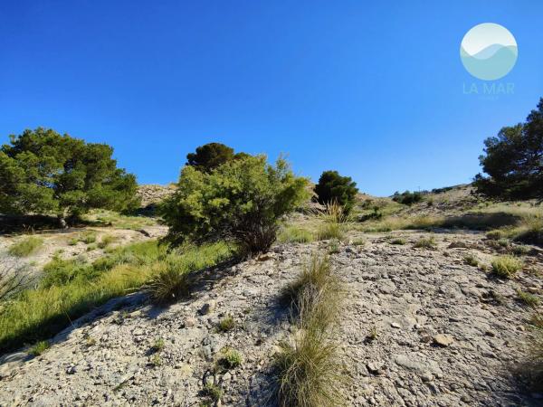 Terreno en tossal redó, 12