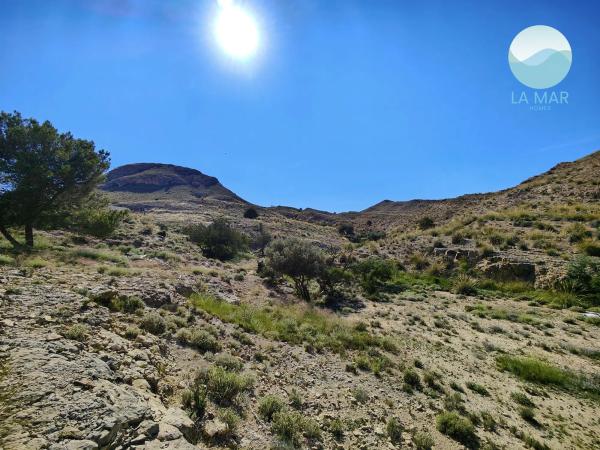 Terreno en tossal redó, 12