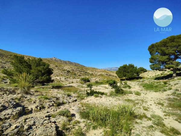 Terreno en tossal redó, 12