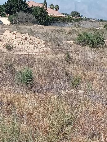 Terreno en Los Girasoles
