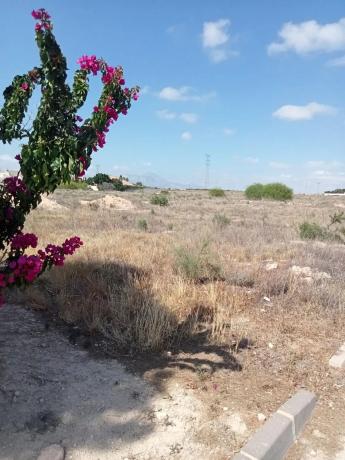 Terreno en Los Girasoles