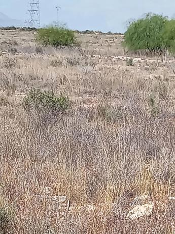 Terreno en Los Girasoles