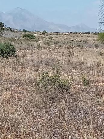 Terreno en Los Girasoles