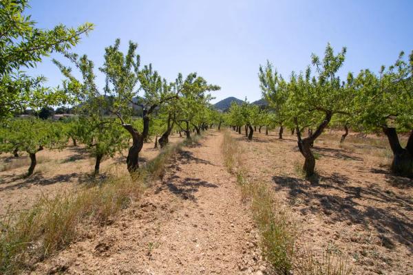 Terreno en Masets, 52