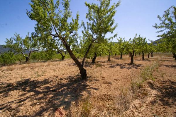 Terreno en Masets, 52