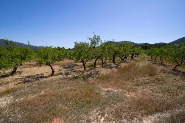 Terreno en Masets, 52