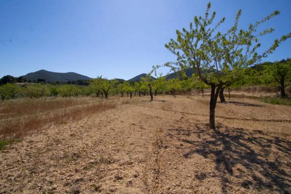 Terreno en Masets, 52