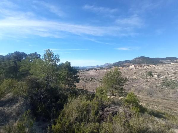 Terreno en Partida Colomer s/n