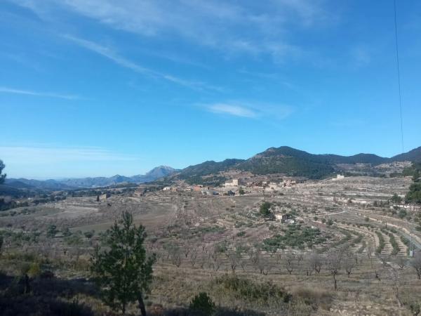 Terreno en Partida Colomer s/n