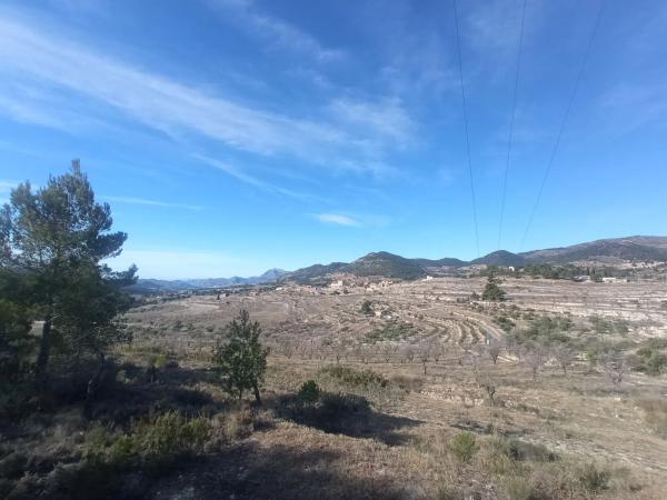 Terreno en Partida Colomer s/n