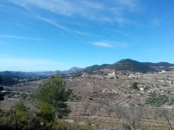 Terreno en Partida Colomer s/n