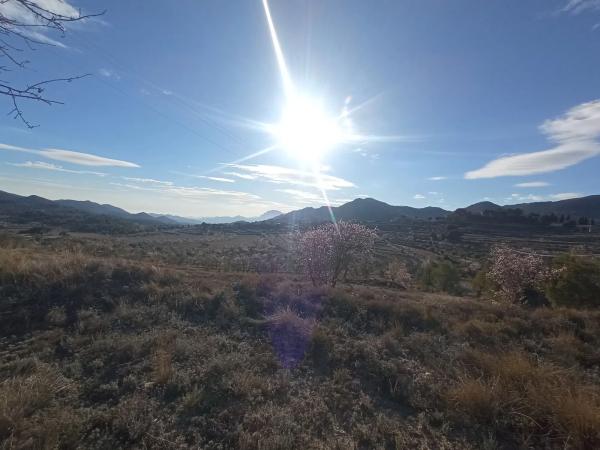 Terreno en Partida Colomer s/n