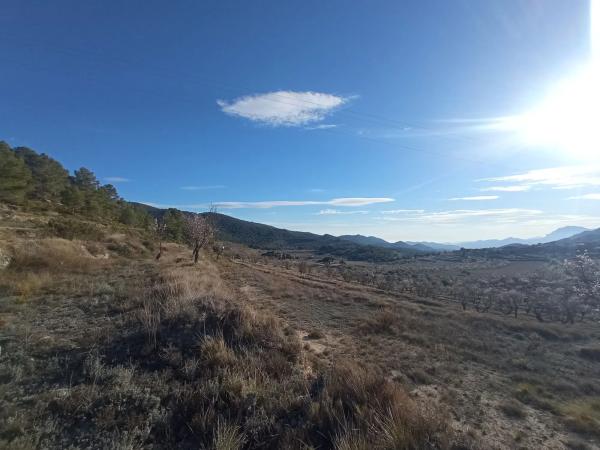 Terreno en Partida Colomer s/n