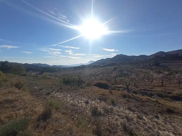 Terreno en Partida Colomer s/n