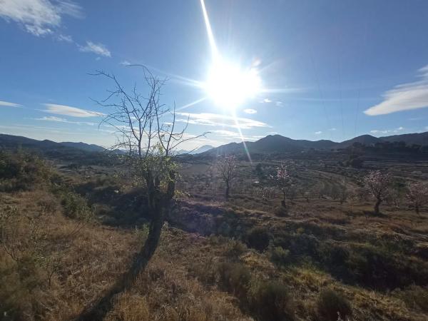 Terreno en Partida Colomer s/n