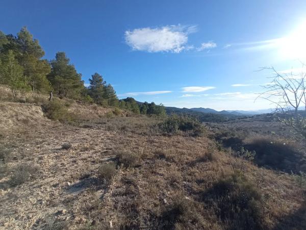 Terreno en Partida Colomer s/n