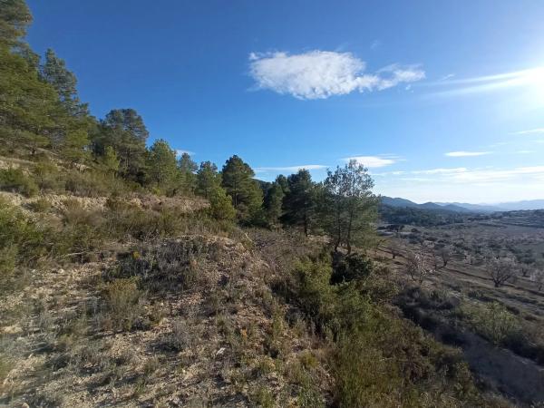 Terreno en Partida Colomer s/n