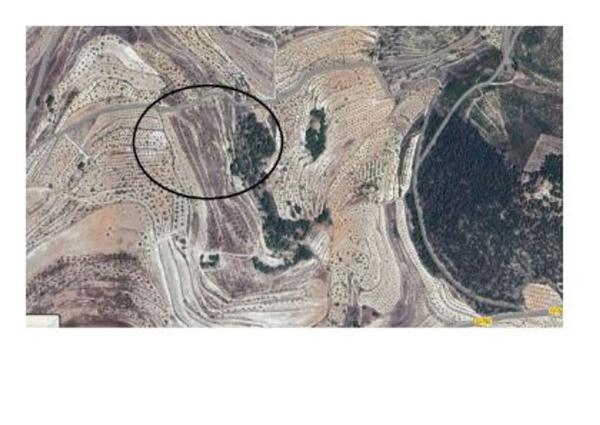 Terreno en Partida Colomer s/n