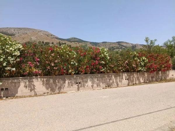 Terreno en camino de La Cava, 55