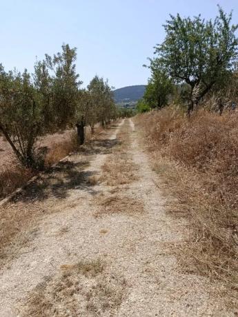 Terreno en camino de La Cava, 55