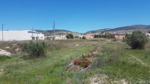 Terreno en avenida Antonio Vilaplana Martinez