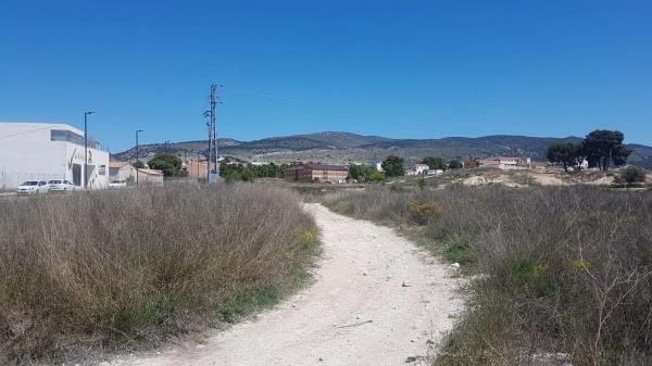 Terreno en avenida Antonio Vilaplana Martinez