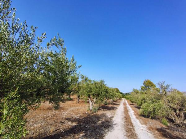 Terreno en poligono 4 parcela 126 s/n