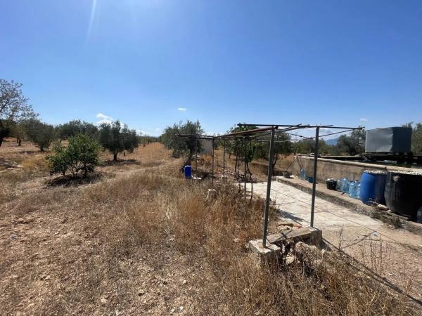 Terreno en Cv-802, 802