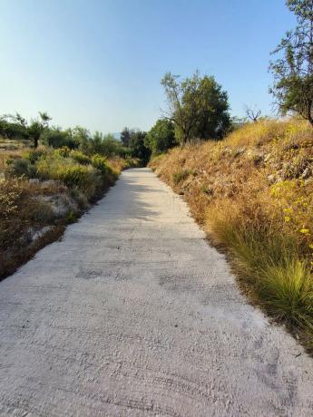 Terreno en poligono 4 parcela 126 s/n