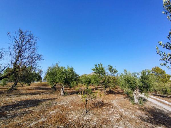 Terreno en poligono 4 parcela 126 s/n