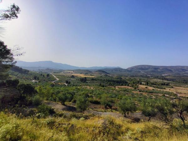 Terreno en poligono 4 parcela 126 s/n