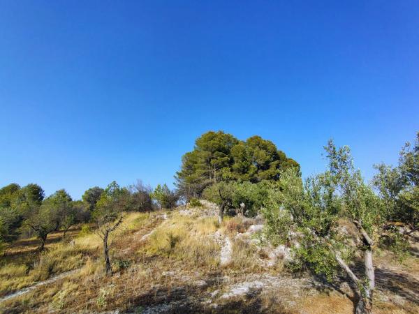 Terreno en poligono 4 parcela 126 s/n