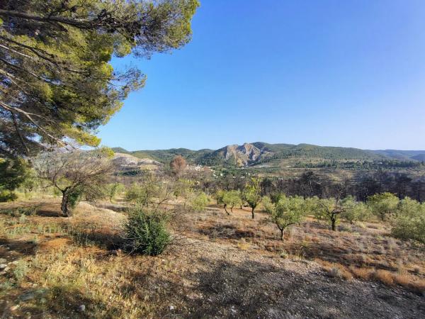 Terreno en poligono 4 parcela 126 s/n