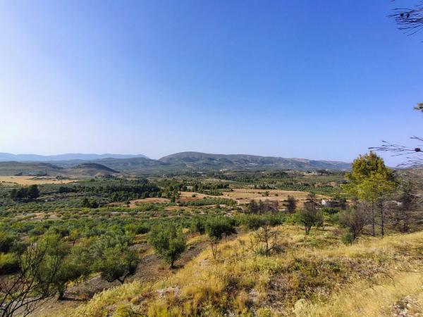 Terreno en poligono 4 parcela 126 s/n