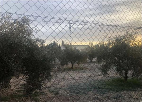 Terreno en senda de Valencia