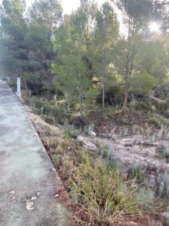 Terreno en Finca Terol sector 3, 8