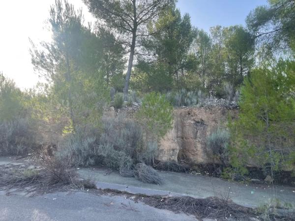 Terreno en Finca Terol sector 3, 8
